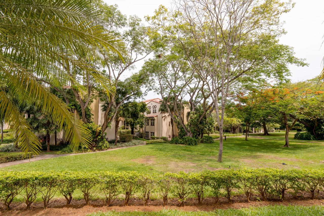 Beautiful grounds and architecture of Pacifico Development